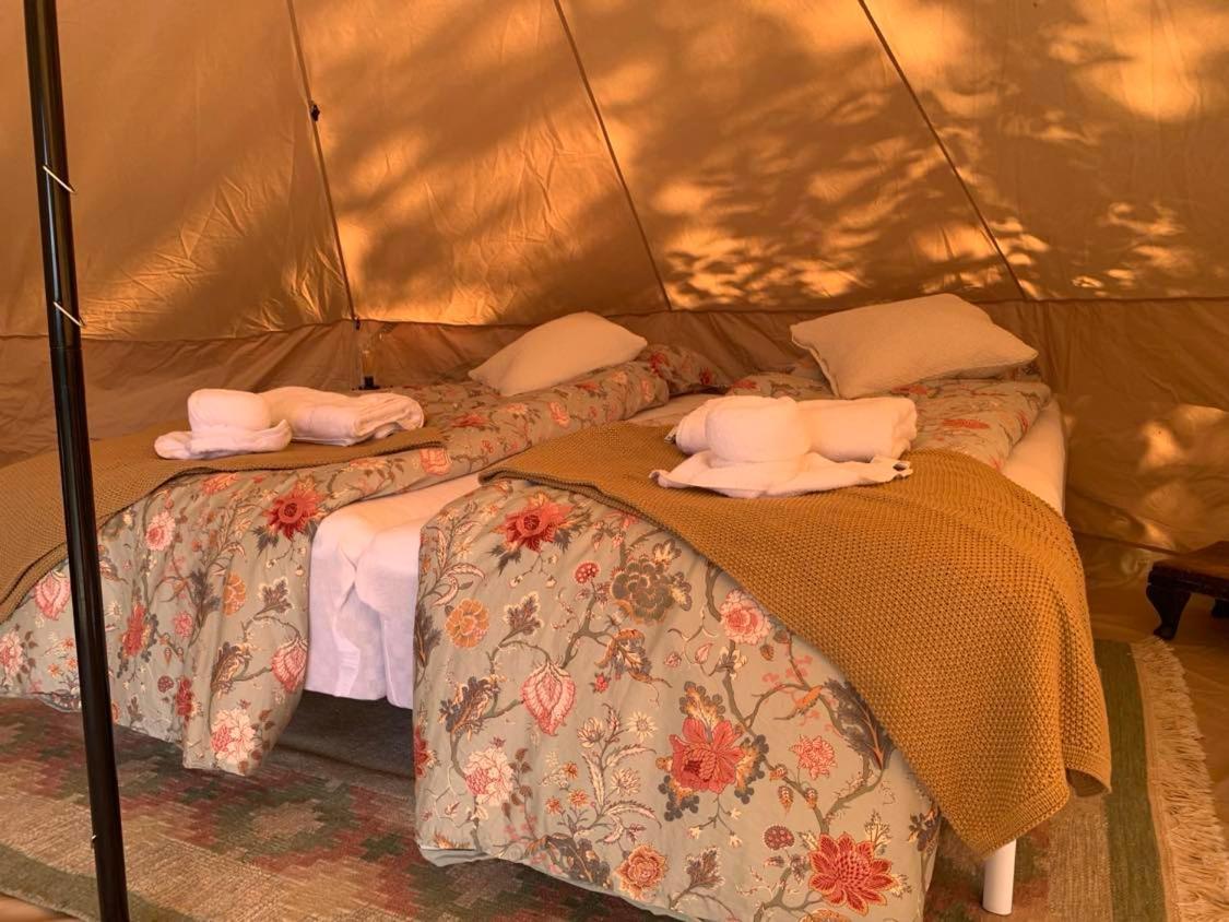 ホテル Glamping Mi Casa Tu Casadk Vissenbjerg エクステリア 写真