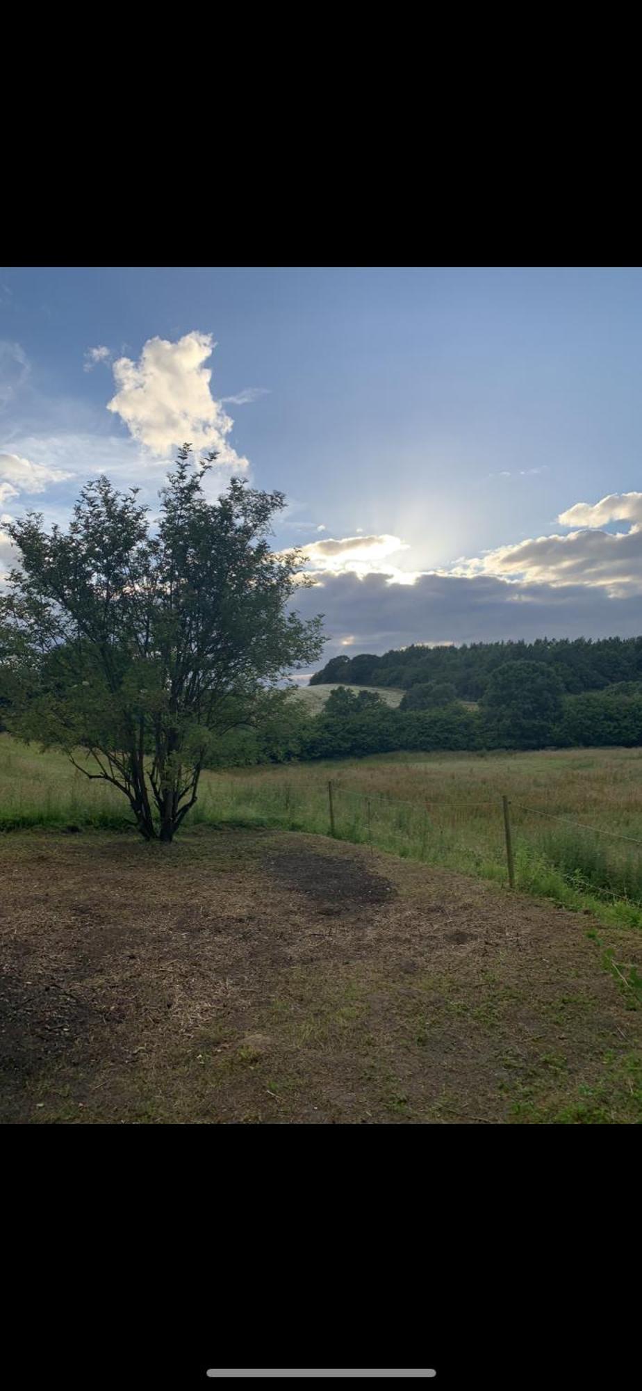 ホテル Glamping Mi Casa Tu Casadk Vissenbjerg エクステリア 写真